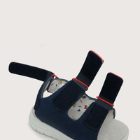 43710250V23_5