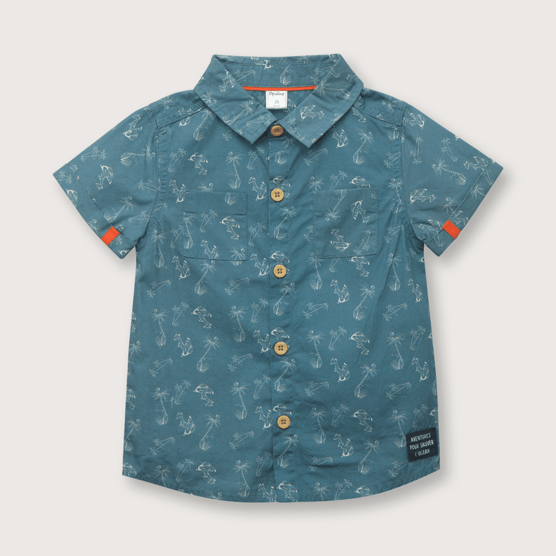 CAPN6550V23_1