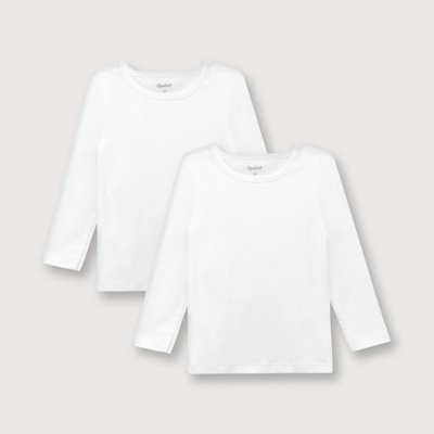 CMPU0110V24_1