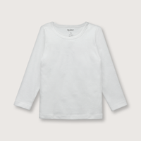 CMPU0110V25_2