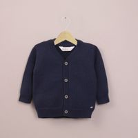 CHLA0550V26_1